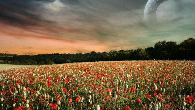 美团优选被曝突发大面积关仓。如何评价？